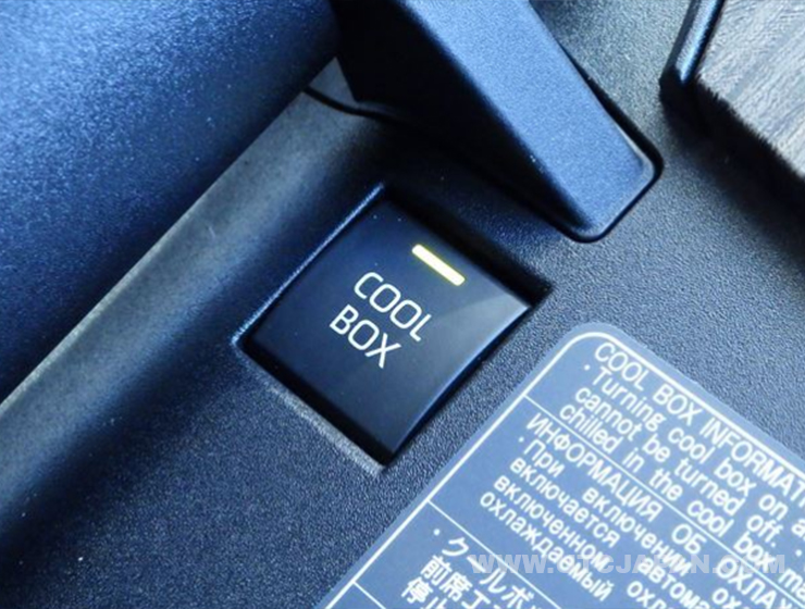 TOYOTA LANDCRUISER 2023