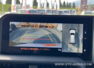 TOYOTA LANDCRUISER 2024