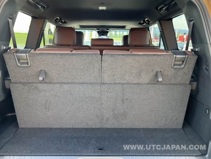 TOYOTA LANDCRUISER 2024